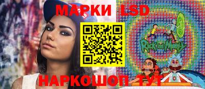 apvp Канаш