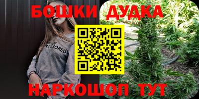 apvp Канаш