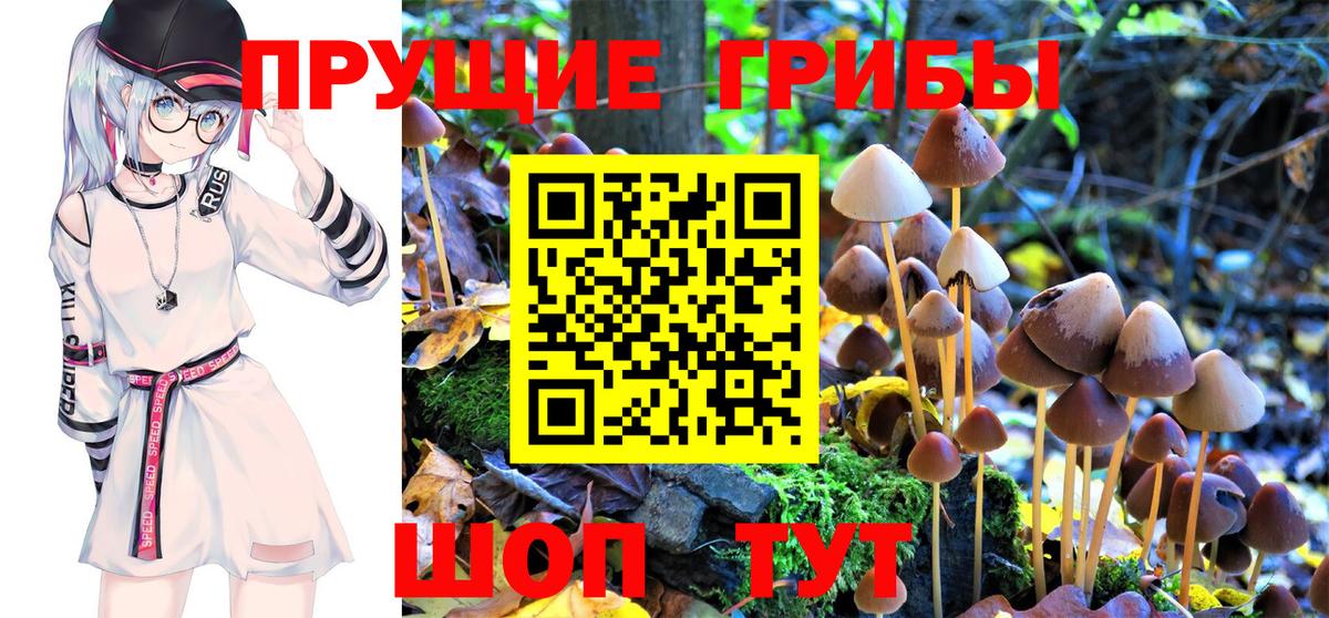 Псилоцибиновые грибы Magic Shrooms Ефремов