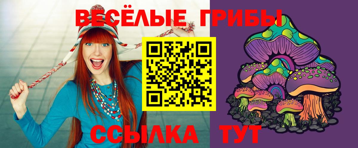 Ефремов  Галлюциногенные грибы MAGIC MUSHROOMS  Вход с VPN 